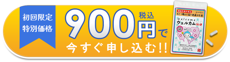 900円で申し込み